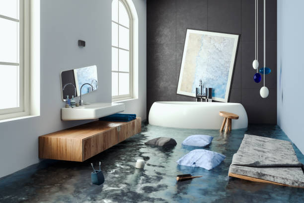 Best Water damage contractors near me  in North Fort Myers, FL
