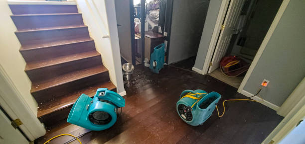 Best Fire Damage Restoration  in North Fort Myers, FL