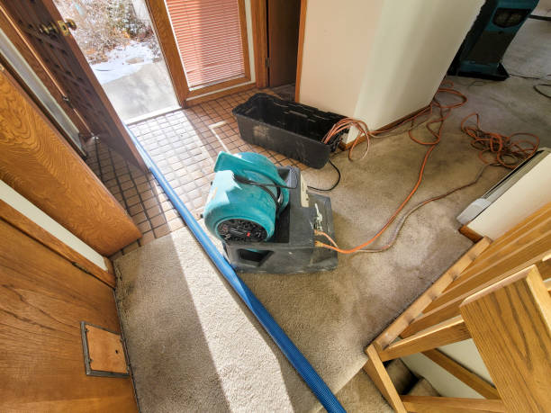 Best Sewage cleanup and water damage restoration  in North Fort Myers, FL