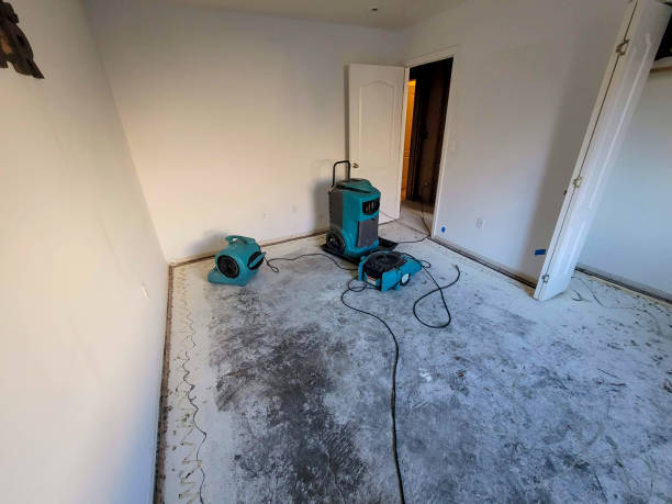 Best 24/7 water damage repair  in North Fort Myers, FL