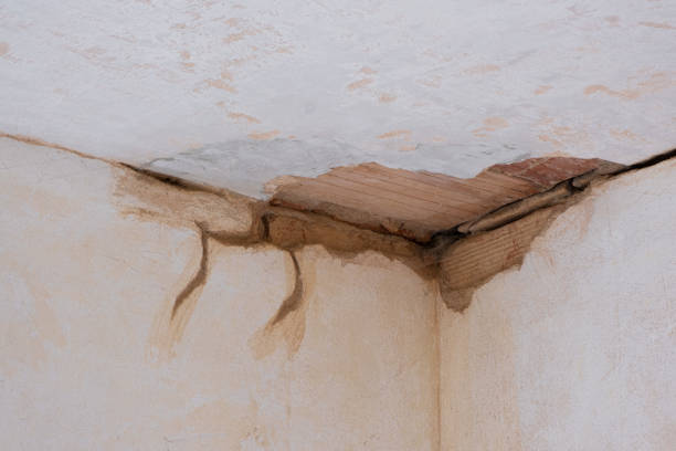 Best Ceiling water damage repair  in North Fort Myers, FL