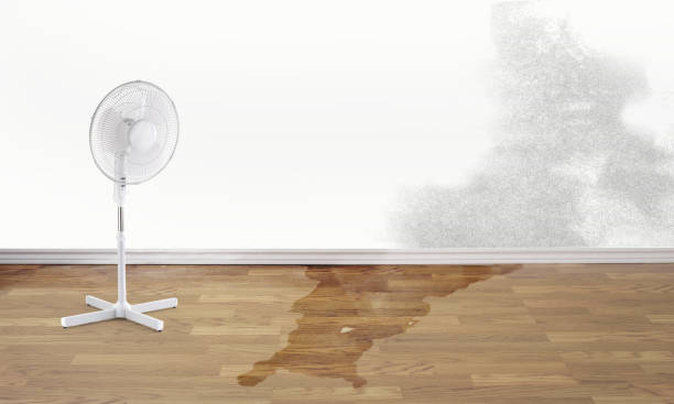 Best Water damage restoration mold remediation  in North Fort Myers, FL