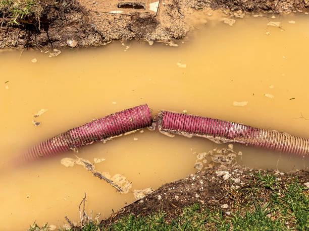 Reliable FL Water damage restoration Solutions